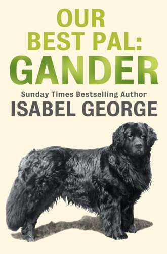 Isabel  George. Our Best Pal: Gander