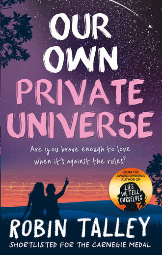Robin  Talley. Our Own Private Universe