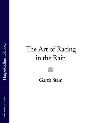 Garth  Stein. The Art of Racing in the Rain