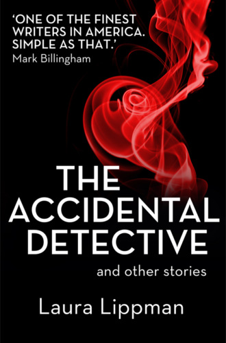 Laura  Lippman. The Accidental Detective and other stories: Short Story Collection
