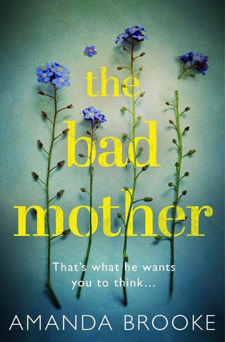 Amanda  Brooke. The Bad Mother: The addictive, gripping thriller that will make you question everything