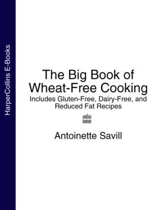 Antoinette  Savill. The Big Book of Wheat-Free Cooking: Includes Gluten-Free, Dairy-Free, and Reduced Fat Recipes