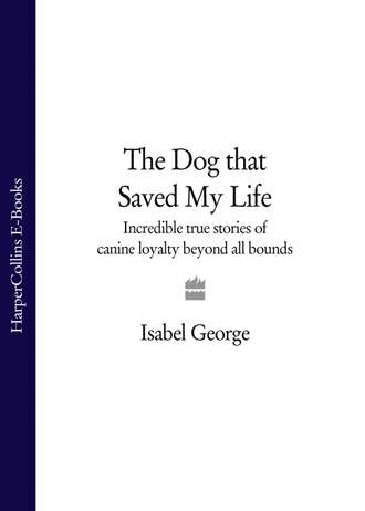 Isabel  George. The Dog that Saved My Life: Incredible true stories of canine loyalty beyond all bounds