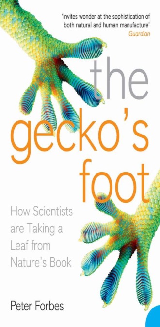 Peter  Forbes. The Gecko’s Foot: How Scientists are Taking a Leaf from Nature's Book