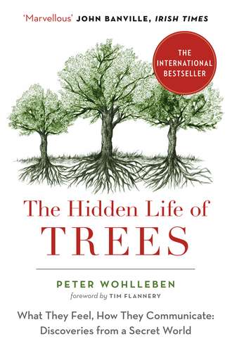 Peter Wohlleben. The Hidden Life of Trees: The International Bestseller – What They Feel, How They Communicate