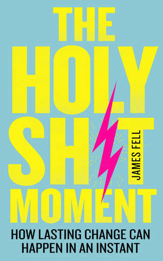 James Fell. The Holy Sh*t Moment: How lasting change can happen in an instant