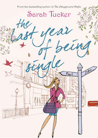 Sarah  Tucker. The Last Year Of Being Single