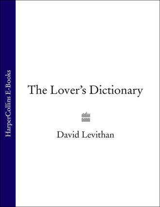 Дэвид Левитан. The Lover’s Dictionary: A Love Story in 185 Definitions