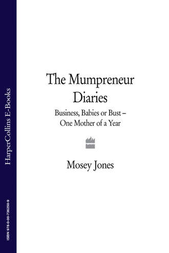 Mosey Jones. The Mumpreneur Diaries: Business, Babies or Bust - One Mother of a Year