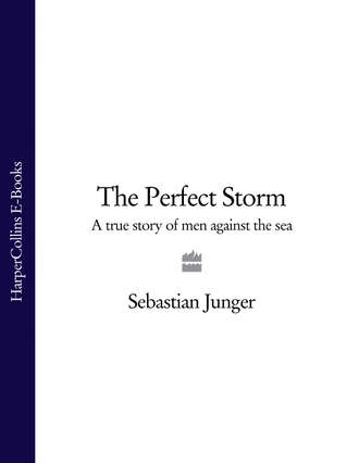 Sebastian  Junger. The Perfect Storm: A True Story of Men Against the Sea