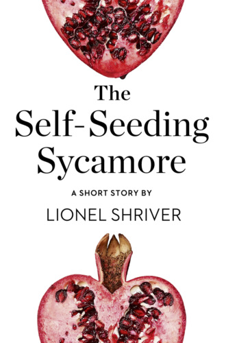 Lionel Shriver. The Self-Seeding Sycamore: A Short Story from the collection, Reader, I Married Him