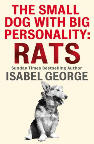 Isabel  George. The Small Dog With A Big Personality: Rats