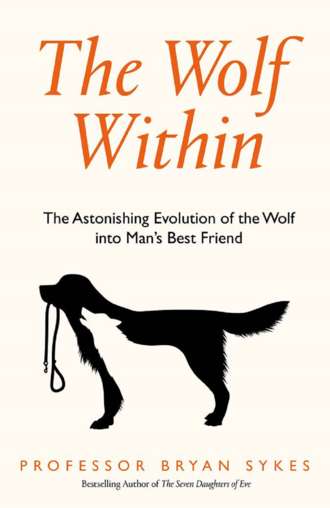 Professor Bryan Sykes. The Wolf Within: The Astonishing Evolution of the Wolf into Man’s Best Friend