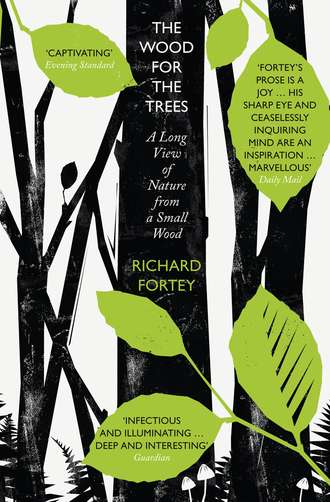 Richard  Fortey. The Wood for the Trees: The Long View of Nature from a Small Wood
