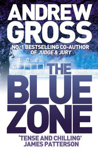 Andrew  Gross. The Blue Zone
