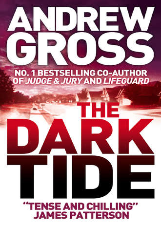 Andrew  Gross. The Dark Tide