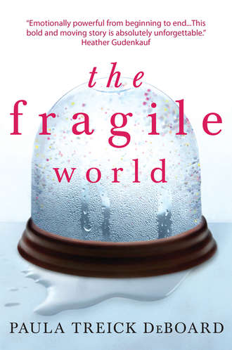 Paula DeBoard Treick. The Fragile World
