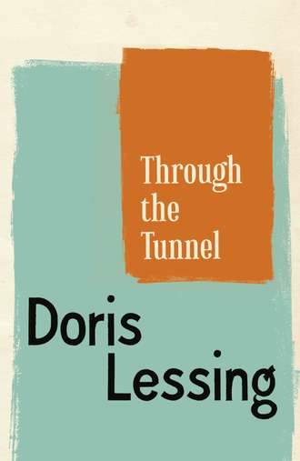 Дорис Лессинг. Through The Tunnel