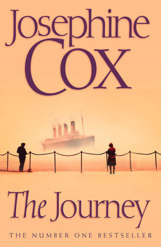 Josephine  Cox. The Journey