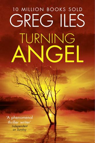Greg  Iles. Turning Angel
