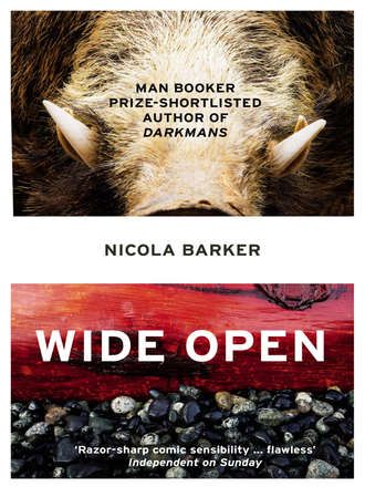 Nicola  Barker. Wide Open