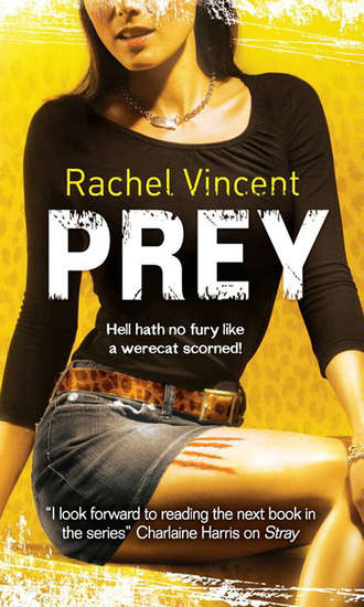 Rachel  Vincent. Prey