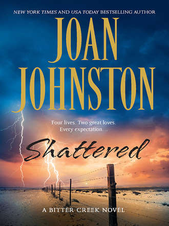 Joan  Johnston. Shattered