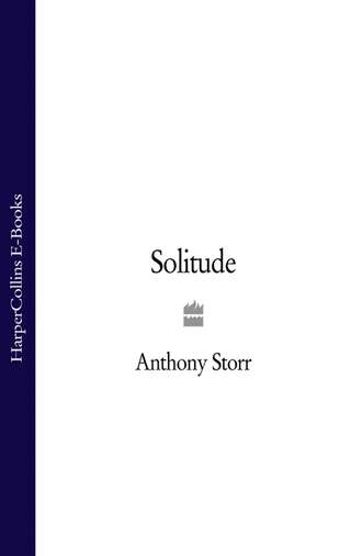 Anthony  Storr. Solitude