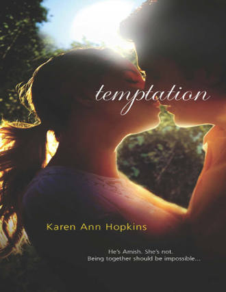Karen Hopkins Ann. Temptation