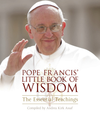 Andrea Assaf Kirk. Pope Francis’ Little Book of Wisdom
