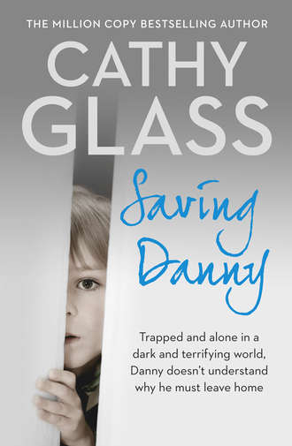 Cathy Glass. Saving Danny