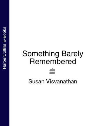 Susan  Visvanathan. Something Barely Remembered