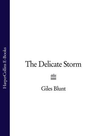 Giles  Blunt. The Delicate Storm
