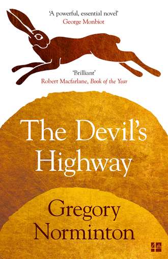 Gregory  Norminton. The Devil’s Highway
