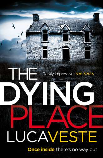 Luca  Veste. The Dying Place