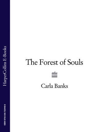Carla Banks. The Forest of Souls