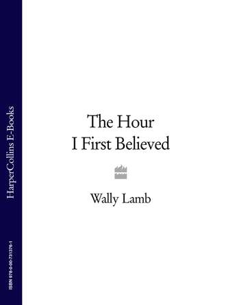 Wally  Lamb. The Hour I First Believed