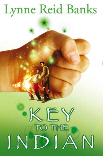 Lynne Banks Reid. The Key to the Indian