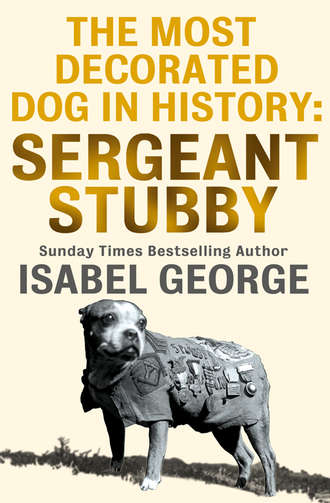 Isabel  George. The Most Decorated Dog In History: Sergeant Stubby