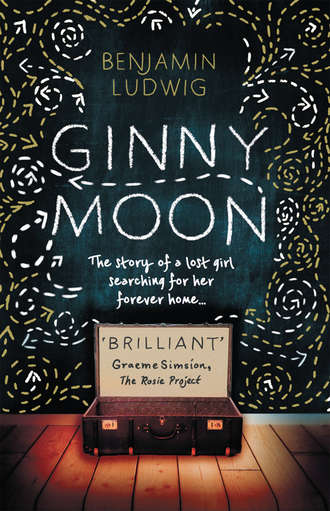 Benjamin  Ludwig. The Original Ginny Moon