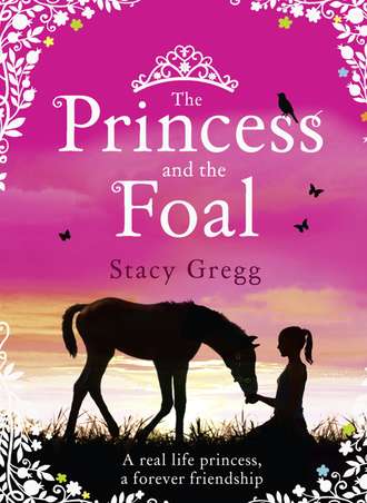 Stacy  Gregg. The Princess and the Foal