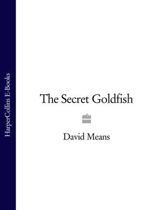 David  Means. The Secret Goldfish