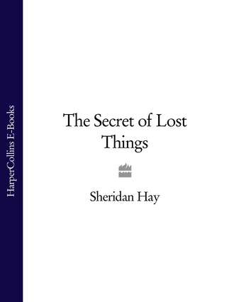 Sheridan Hay. The Secret of Lost Things
