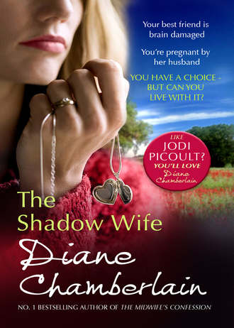 Diane  Chamberlain. The Shadow Wife