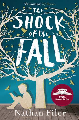 Nathan Filer. The Shock of the Fall