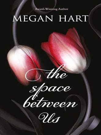 Megan Hart. The Space Between Us