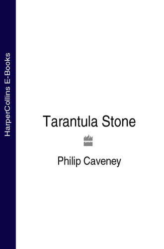 Philip  Caveney. The Tarantula Stone