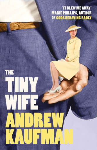 Andrew  Kaufman. The Tiny Wife
