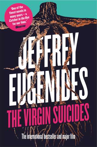 Jeffrey Eugenides. The Virgin Suicides