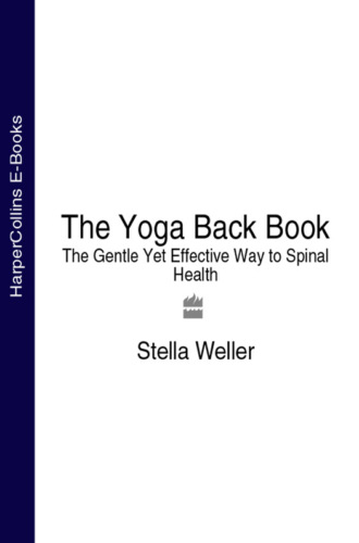 Stella  Weller. The Yoga Back Book: The Gentle Yet Effective Way to Spinal Health